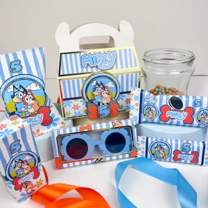 Bluey Party Boxes